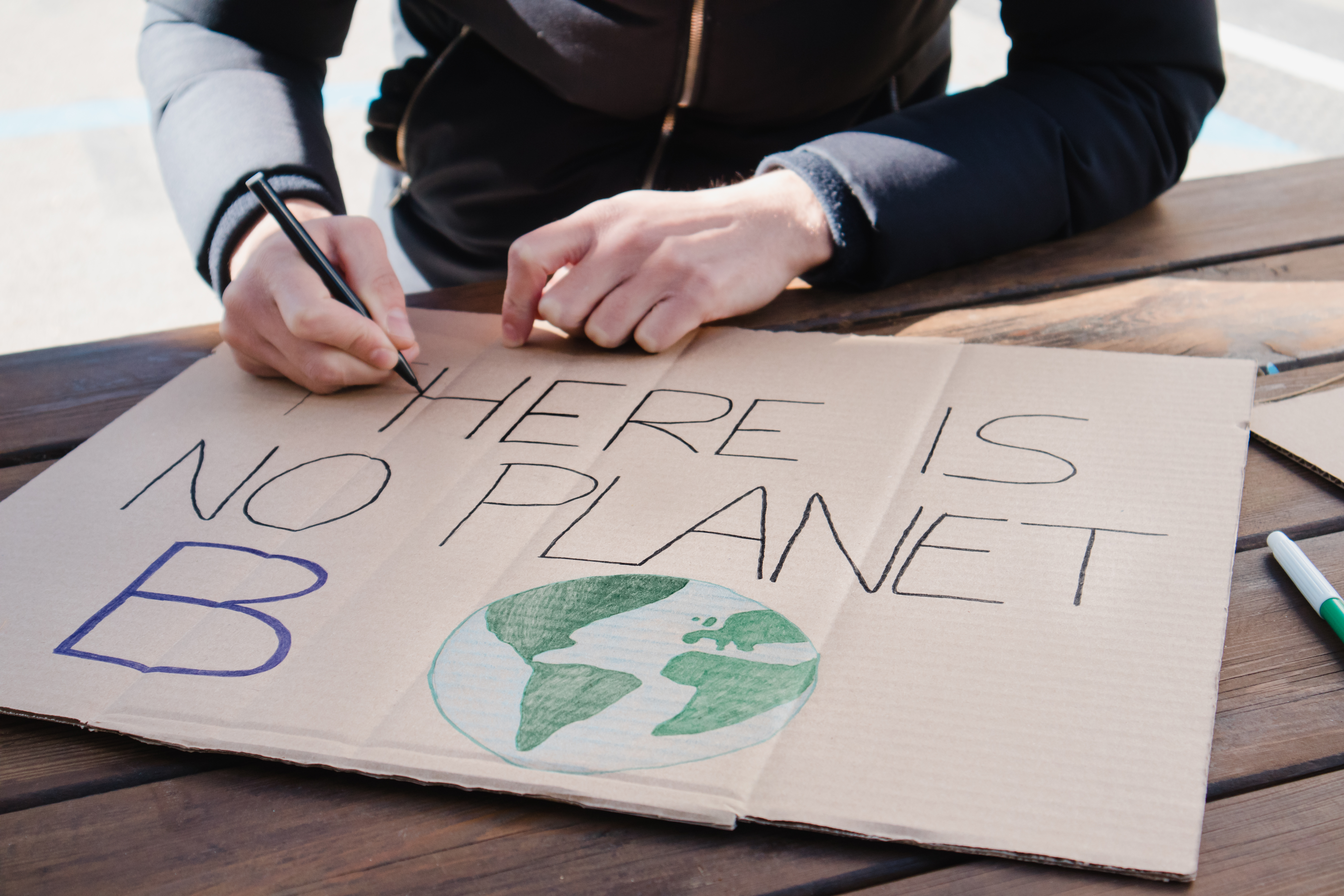 environmental-activist-painting-there-is-no-plane-2021-11-11-18-23-42-utc